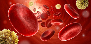 Hintergrundinformation Patient Blood Management (PBM)